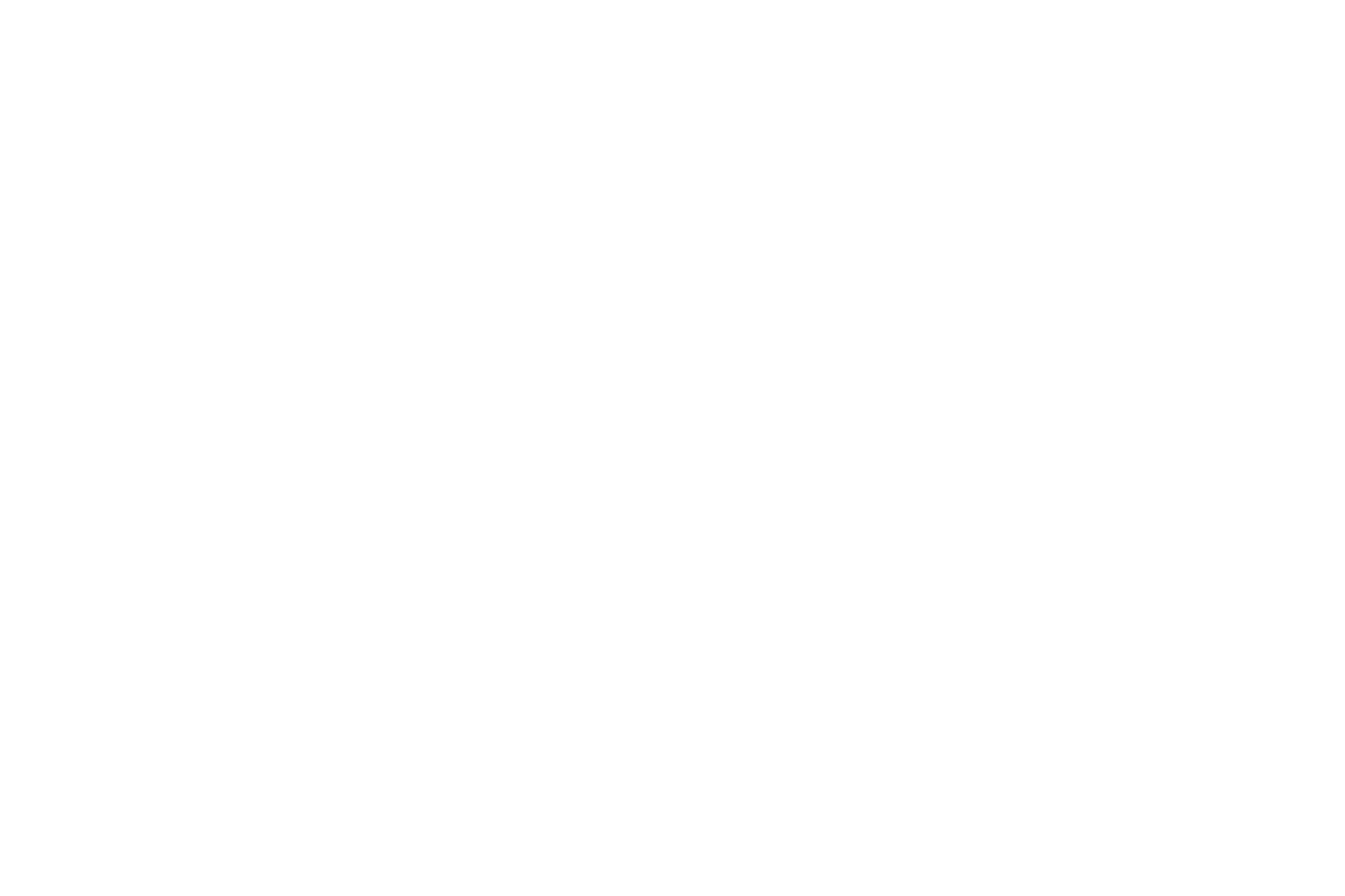 Logo principal